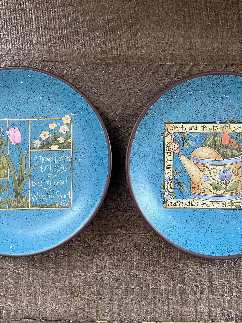 Vintage Crazy Mountain Spring Wall Decor Plates Cottagecore/Garden/Rustic Home
